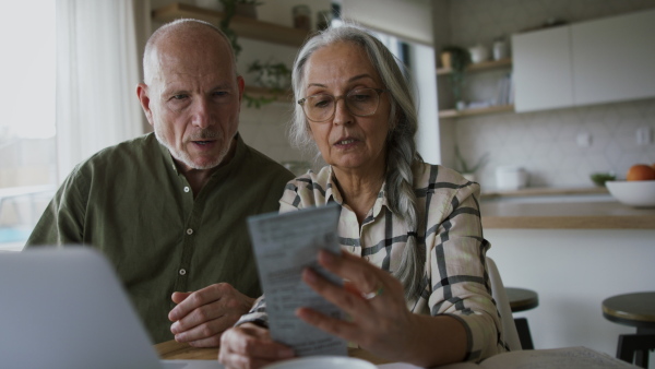 A happy senior couple calculate expenses or planning budget together at home.