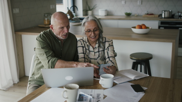 A happy senior couple calculate expenses or planning budget together at home.