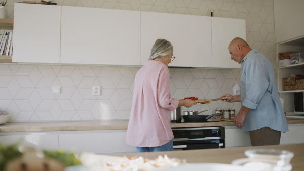 A happy senior couple cooking together at home.