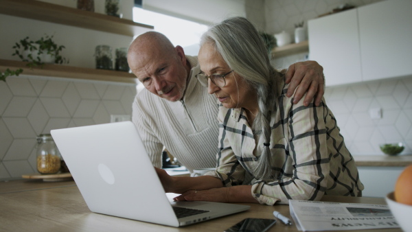 A happy senior couple calculate expenses or planning budget together at home.