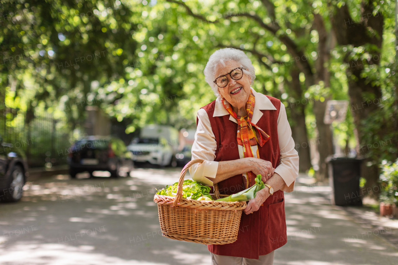 Senior woman going home from the supermarket, walking in the city, holding basket full of groceries.