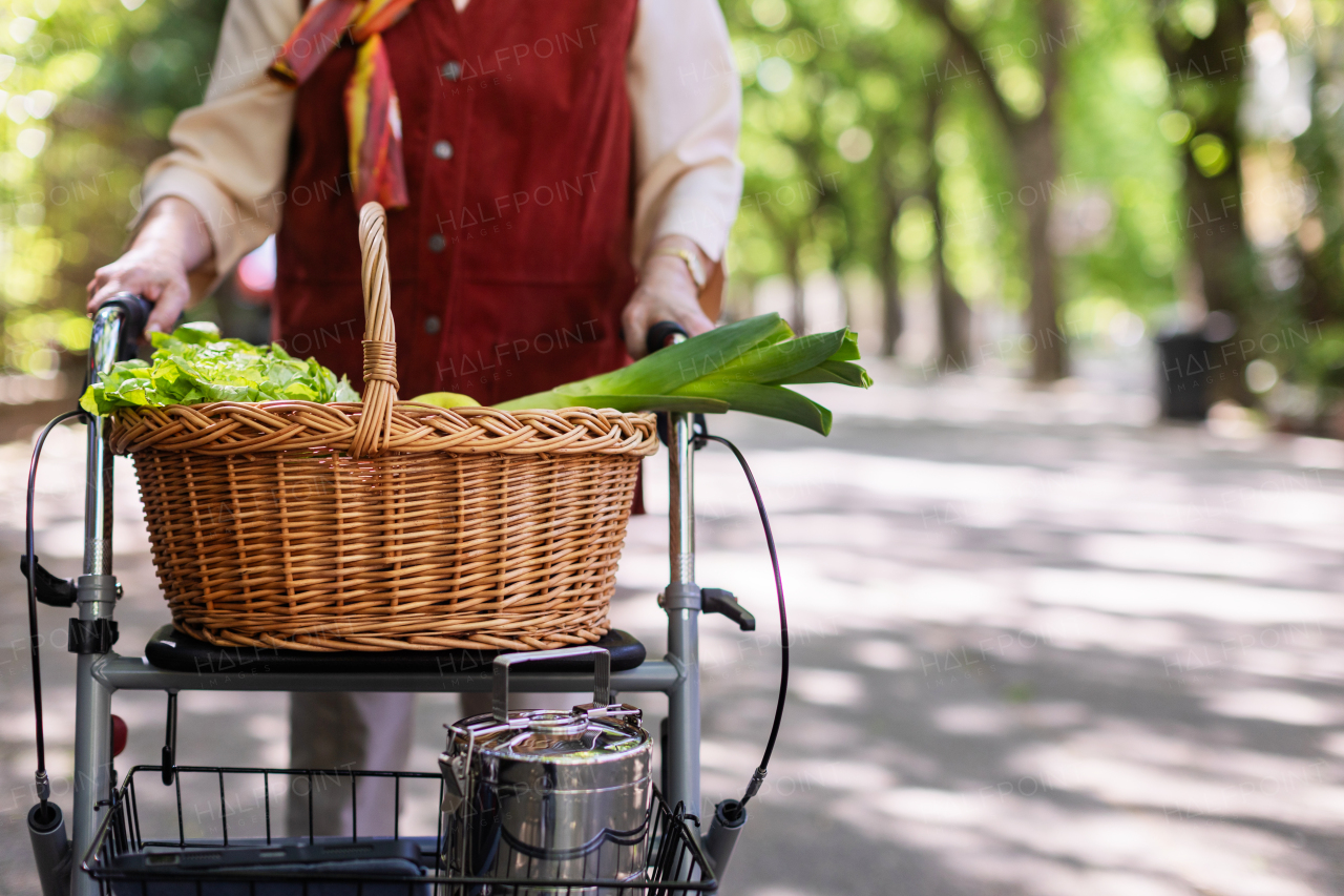 Senior woman going home from supermarket, walking with the help of rollator. Groceries in basket.