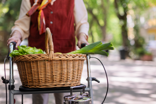 Senior woman going home from supermarket, walking with the help of rollator. Groceries in basket.