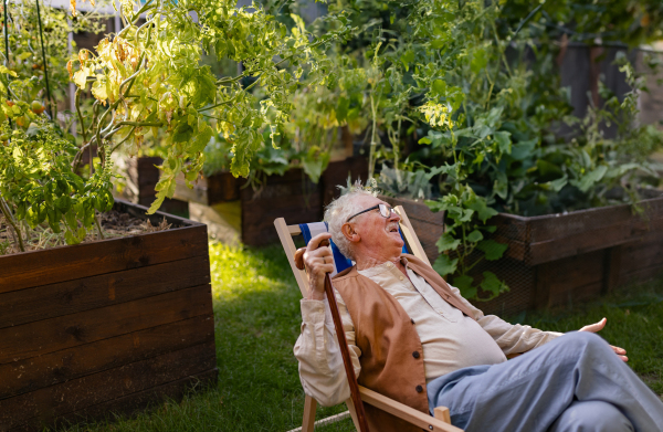 Portrait of smiling senior man resting after taking care vegetable plants in urban garden. Urban gardening in community garden making pensioner happy and cures his depression.