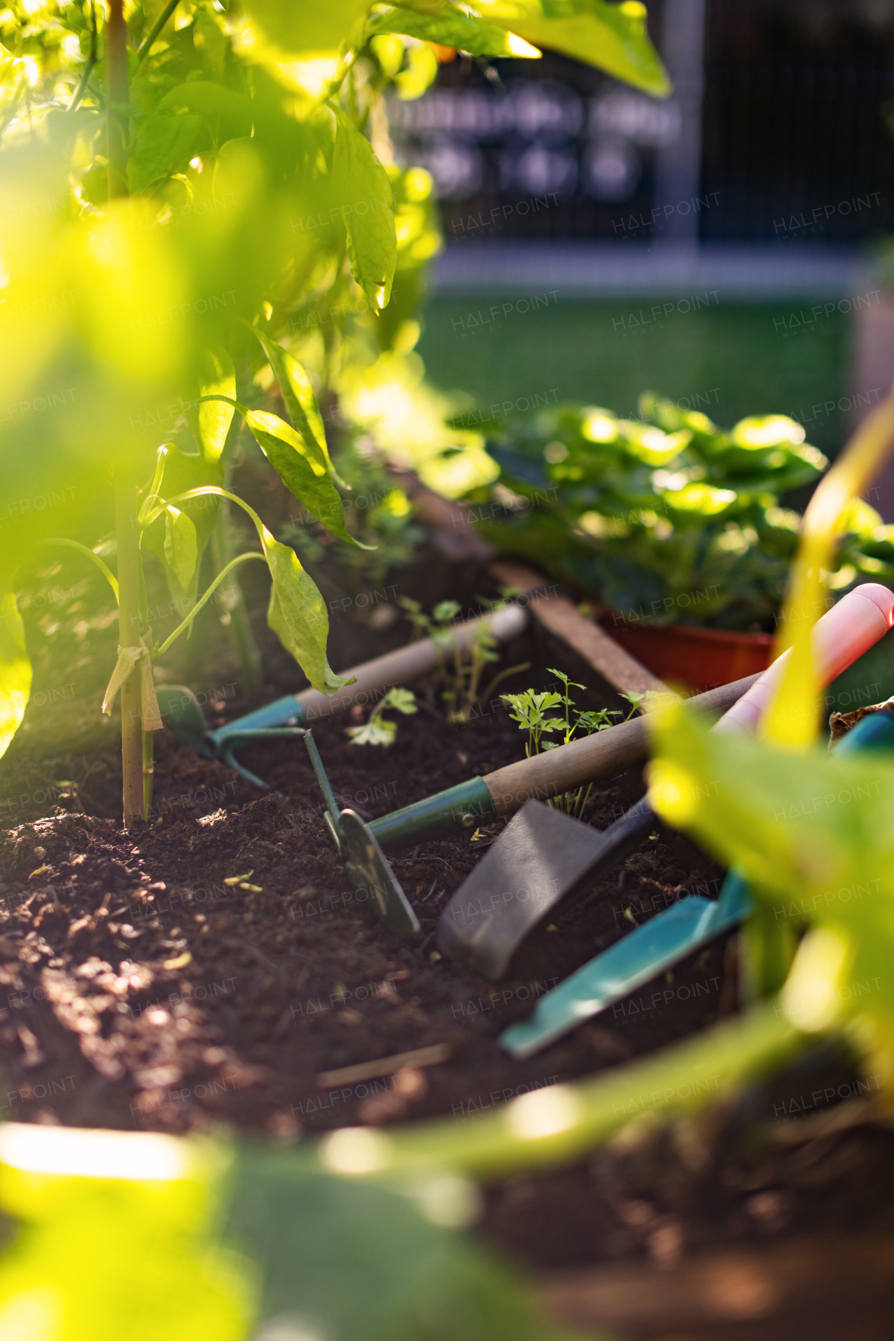 Close up of garden tools on soil in a raised flower bed. Concept of gardening as hobby.