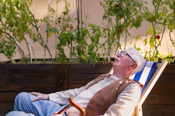 Portrait of smiling senior man resting after taking care vegetable plants in urban garden. Urban gardening in community garden making pensioner happy and cures his depression.