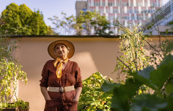 Portrait of confident senior woman standing in urban garden. Elderly woman taking care of tomato plants in community garden in her apartment complex.