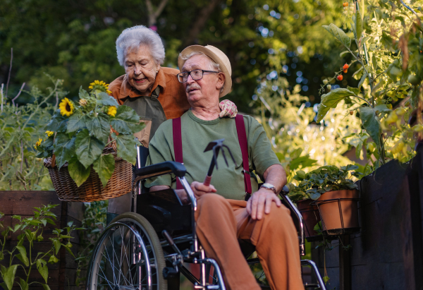 Portrait of senior couple taking care of vegetable plants in urban garden in the city. Pensioners spending time together gardening in community garden in their apartment complex. Nursing home residents gardening outdoors.