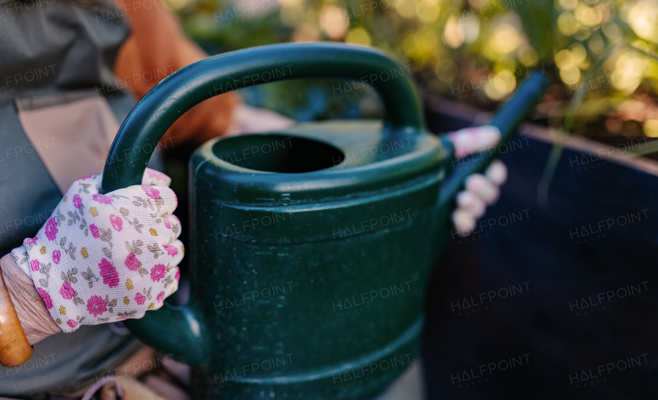 A close up of a watering can. The gardener's hands in gardening gloves holding a plastic watering can.