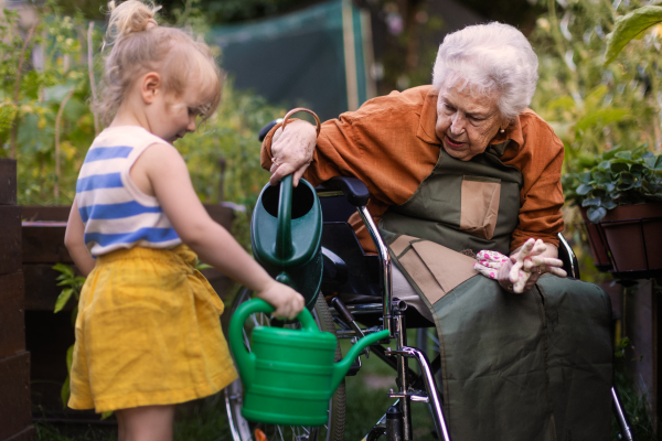 Portrait of a little adorable girl working in garden her grandmother in wheelchair. A young girl watering plants, takes care of vegetables growing in raised beds.