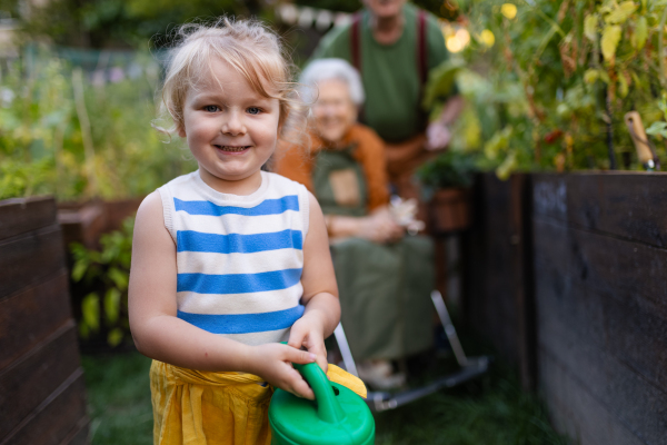 Portrait of a little adorable girl working in garden her grandparents. A young girl watering plants, takes care of vegetables growing in raised beds.