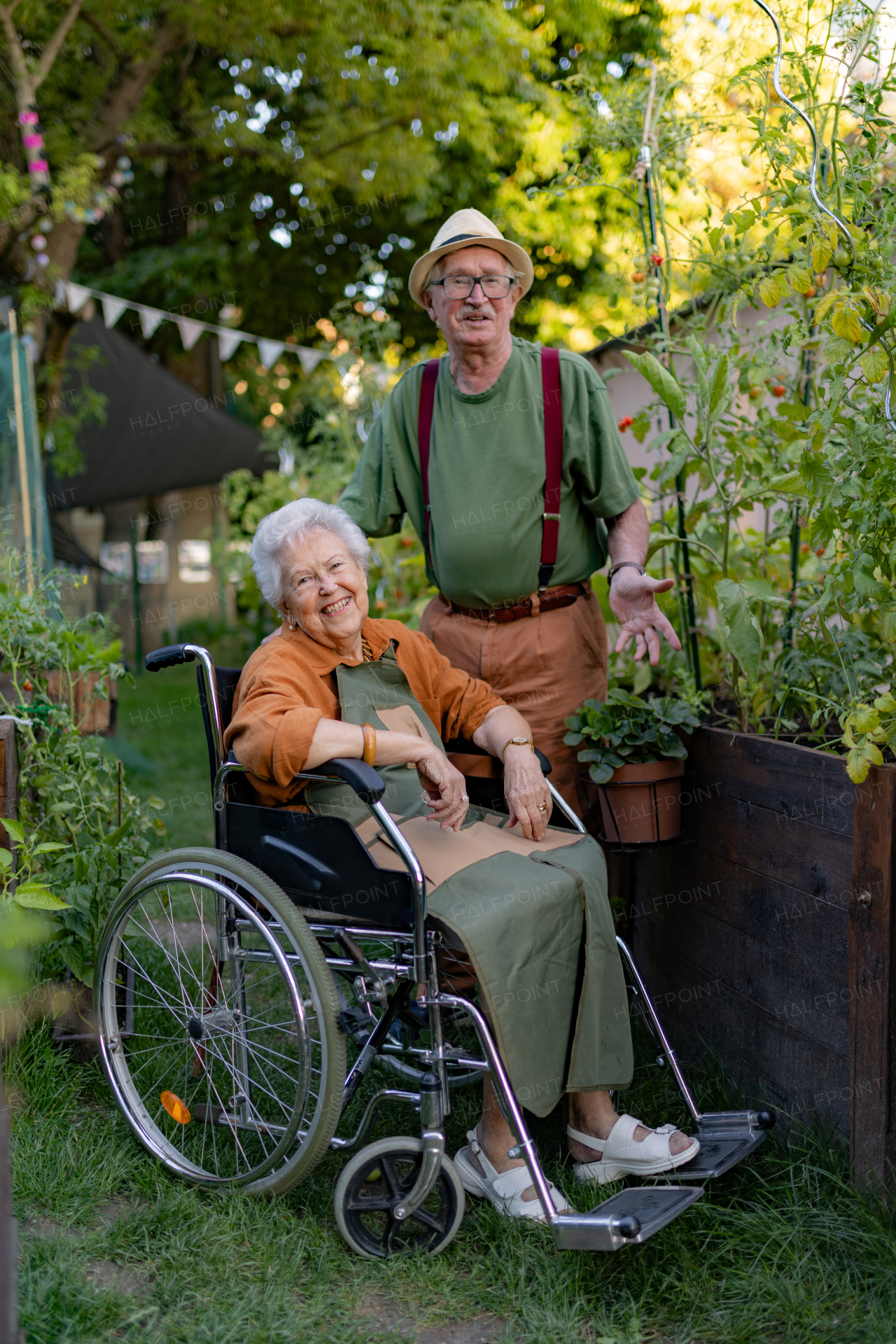 Portrait of senior couple taking care of vegetable plants in urban garden in the city. Pensioners spending time together gardening in community garden in their apartment complex. Nursing home residents gardening outdoors.