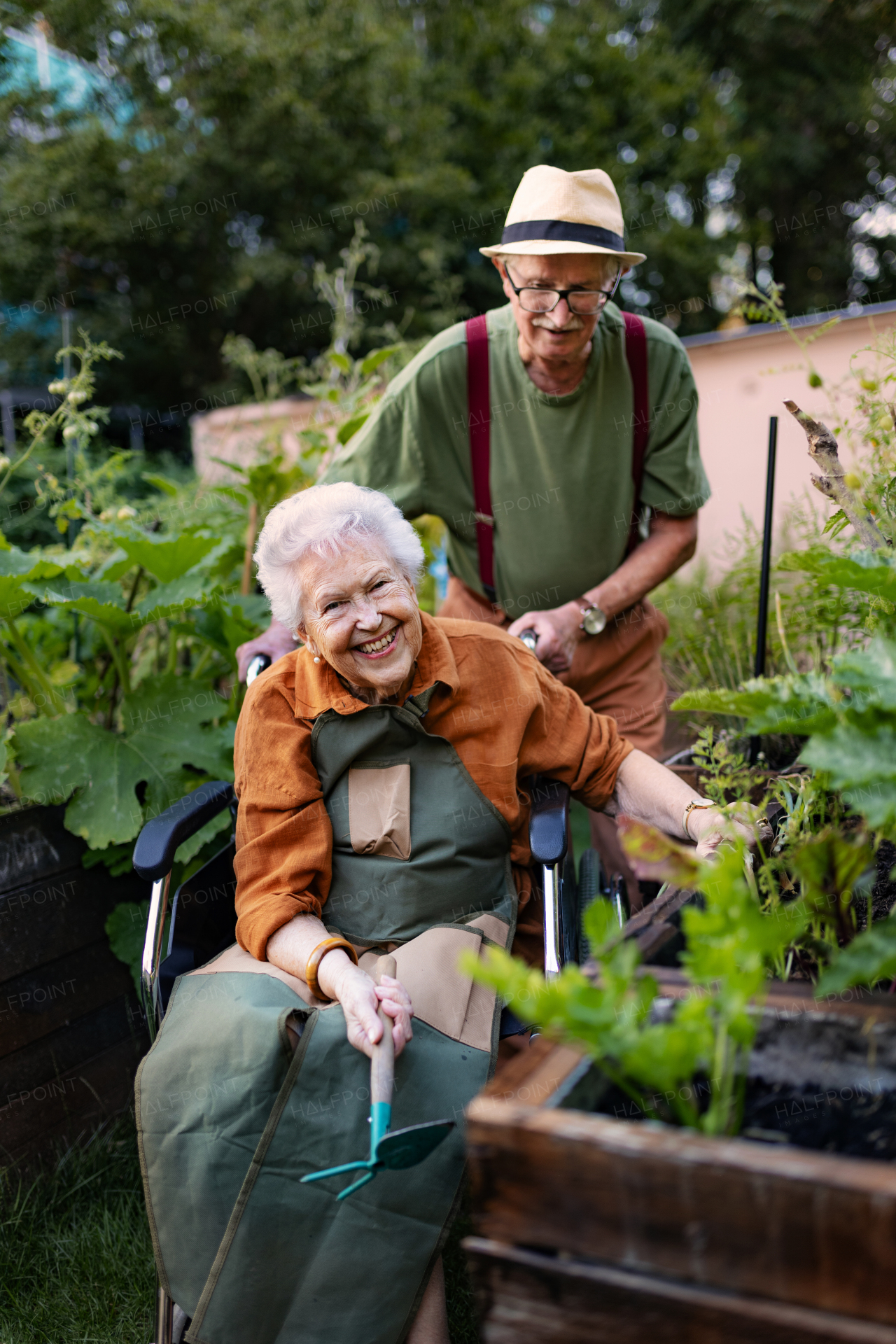 Portrait of senior couple taking care of vegetable plants in urban garden in the city. Pensioners spending time together gardening in community garden in their apartment complex. Nursing home residents gardening outdoors.