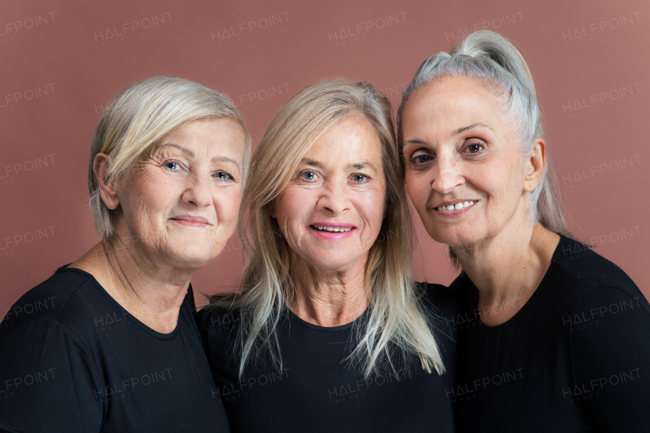 Studio portrait of three beautiful senior women with gray hairs in black tops. Elderly female friends holding each other looking at camera. Isolated on a brown pink background. Copy space.