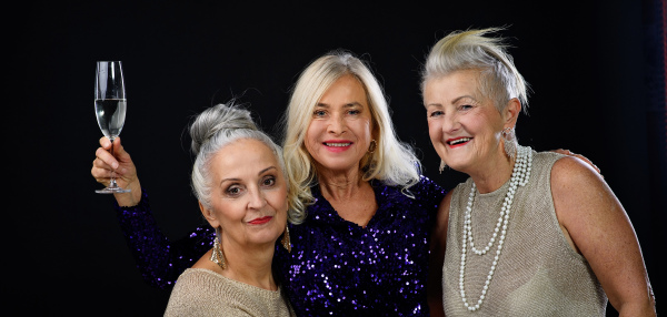 Portrait of happy senior friends with glass of wine, celebration concept.