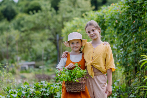 Portrait of a cute little sisters in an autumn garden. The young girls looking at each other,holding a basket full of harvested vegetable and herbs.