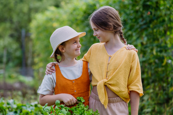 Portrait of a cute little sisters in an autumn garden. The young girls looking at each other,holding a basket full of harvested vegetable and herbs.