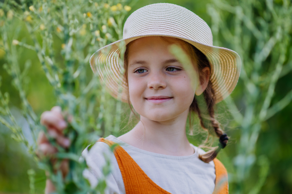 Portrait of a cute little girl in an autumn garden. The young girl in a dress and hat standing in tall grass.