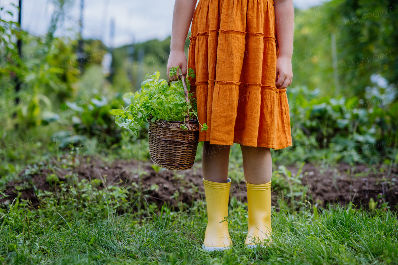 Close-up of a girl's yellow gardening rubber boots, young girl standing in an autumn garden.