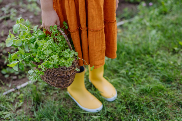 Close-up of a girl's yellow gardening rubber boots, young girl standing in an autumn garden.