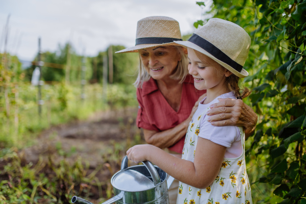 Portrait of grandmother with granddaughter watering vegetables in the middle of a field. Concept of importance of grandparents - grandchild relationship. Intergenerational gardening.