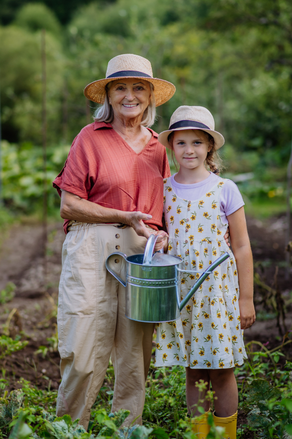 Portrait of grandmother with granddaughter watering vegetables in the middle of a field. Concept of importance of grandparents - grandchild relationship. Intergenerational gardening.