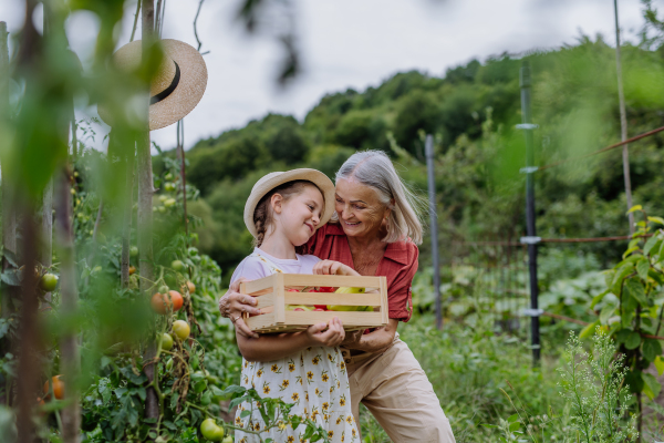 Portrait of grandmother with granddaughter with crate full of vegetables. Concept of importance of grandparents - grandchild relationship. Intergenerational gardening.