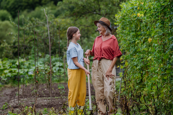 Portrait of grandmother with granddaughter hand hoeing soil with hoe. Concept of importance of grandparents - grandchild relationship. Intergenerational gardening.