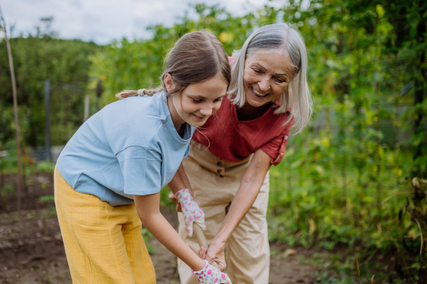 Portrait of grandmother with granddaughter hand hoeing soil with hoe. Concept of importance of grandparents - grandchild relationship. Intergenerational gardening.