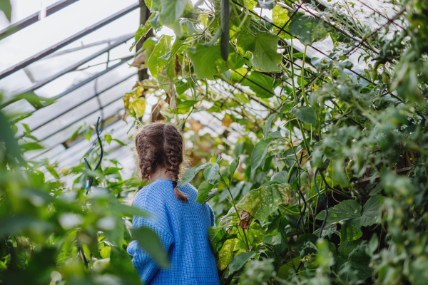 Portrait of a cute young girl standing in a greenhouse in the middle of growing vegetables.