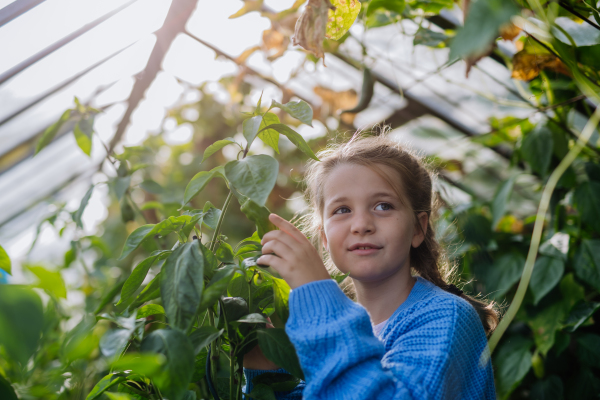 Portrait of a cute young girl standing in a greenhouse in the middle of growing vegetables.