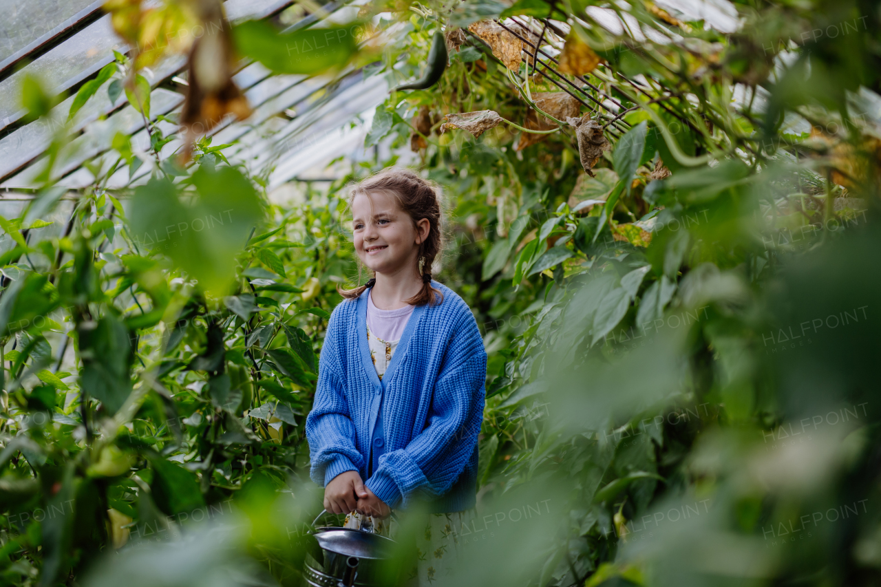 Portrait of young girl watering plants with watering can in a greenhouse. Girl working in the middle of growing vegetables.