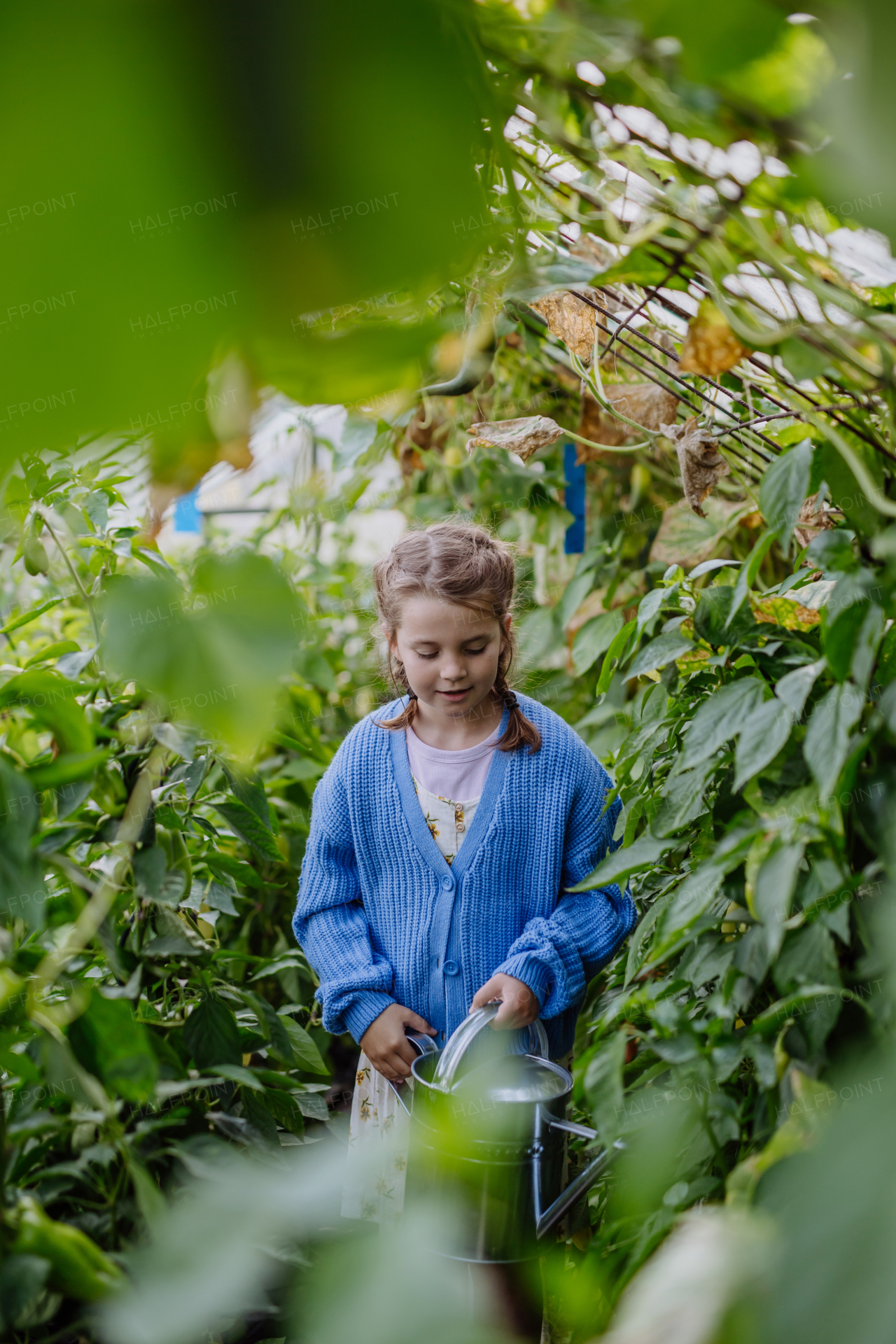 Portrait of a cute young girl standing in a greenhouse in the middle of growing vegetables.