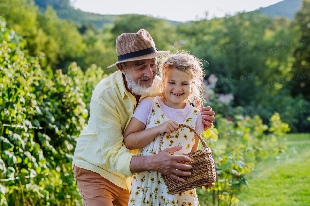 Portrait of grandfather with granddaughter in the garden. Concept of importance of grandparents - grandchild relationship. Intergenerational gardening.