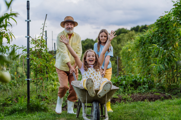 Grandfather and sister pushing little girl in a wheelbarrow through the garden. The girl raising her hands above her head and laughing during the ride.