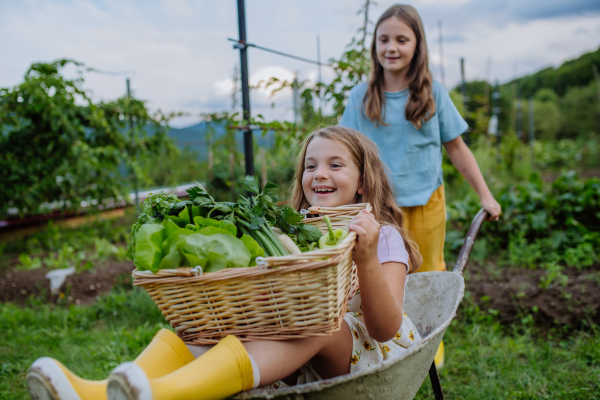 Sister pushing little girl in a wheelbarrow through the garden. The girl raising her hands above her head and laughing during the ride.