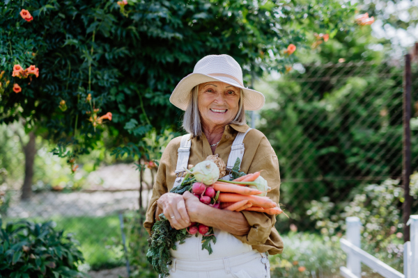 Happy senior woman posing with harvesting vegetables from garden.