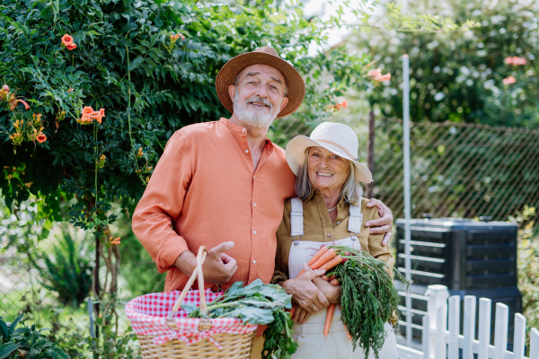 Happy senior couple harvesting fresh vegetables from their garden.