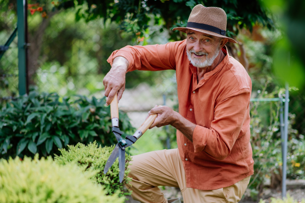 Senior man cutting bushes in his garden.