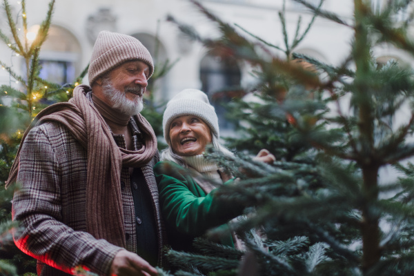 Happy senior couple enjoying outdoor christmas market, buying christmas tree. Choosing the perfect Christmas tree