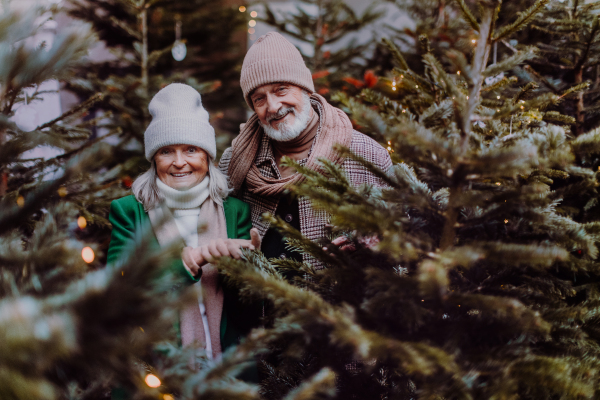 Happy senior couple enjoying outdoor christmas market, buying christmas tree.