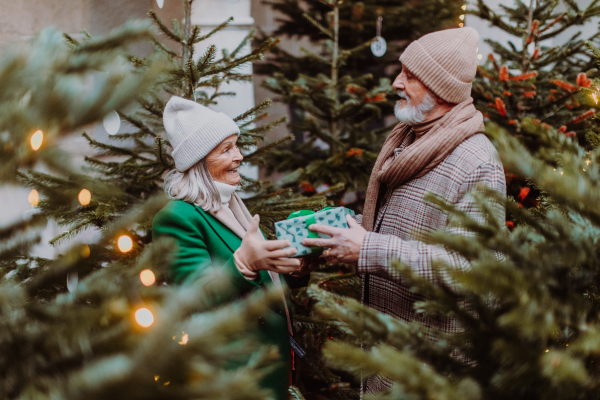 Happy senior couple exchanging Christmas gifts outdoors.