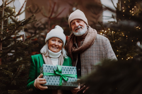 Happy senior couple enjoying outdoor christmas market, buying gifts and christmas tree.