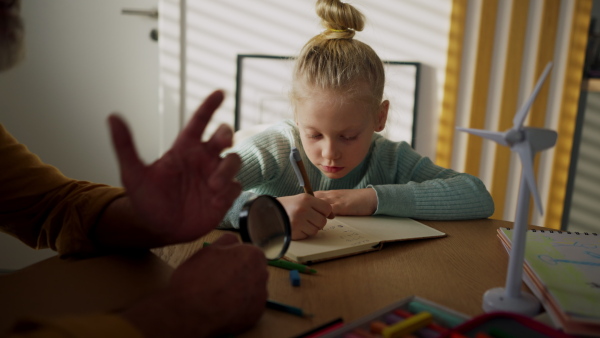 Senior man studying with his granddaughter.