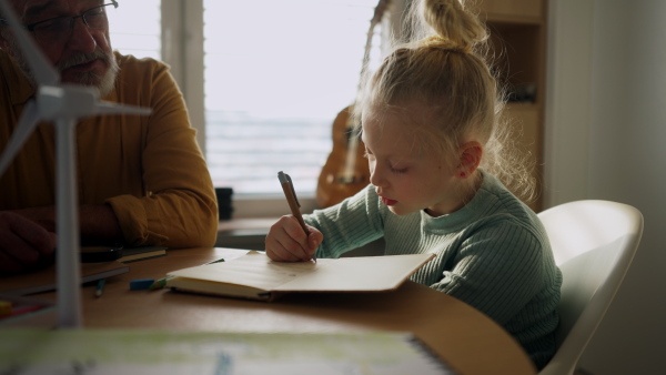 Senior man studying with his granddaughter.