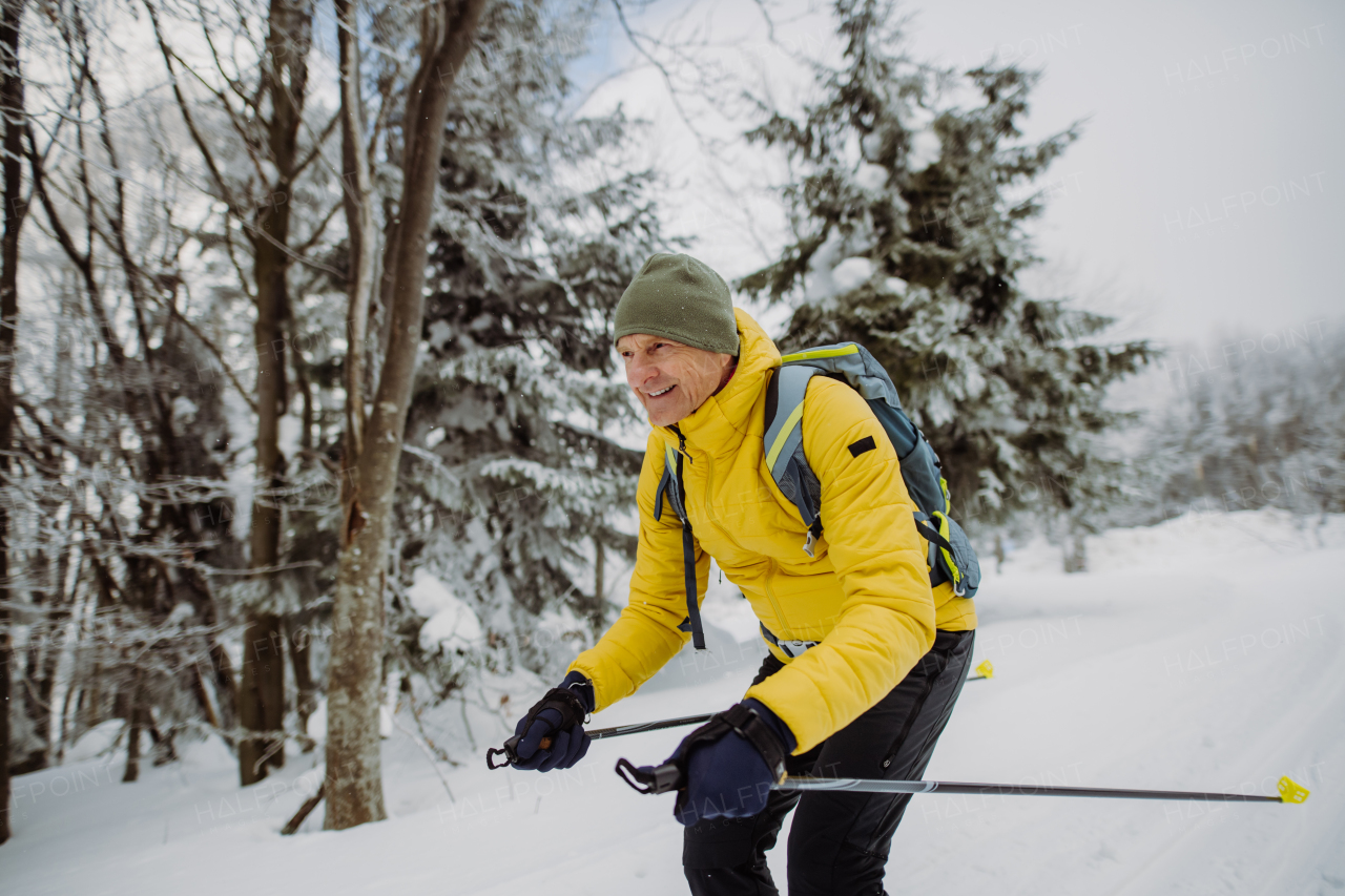 Senior man doing cross country skiing in front of a snowy forest.