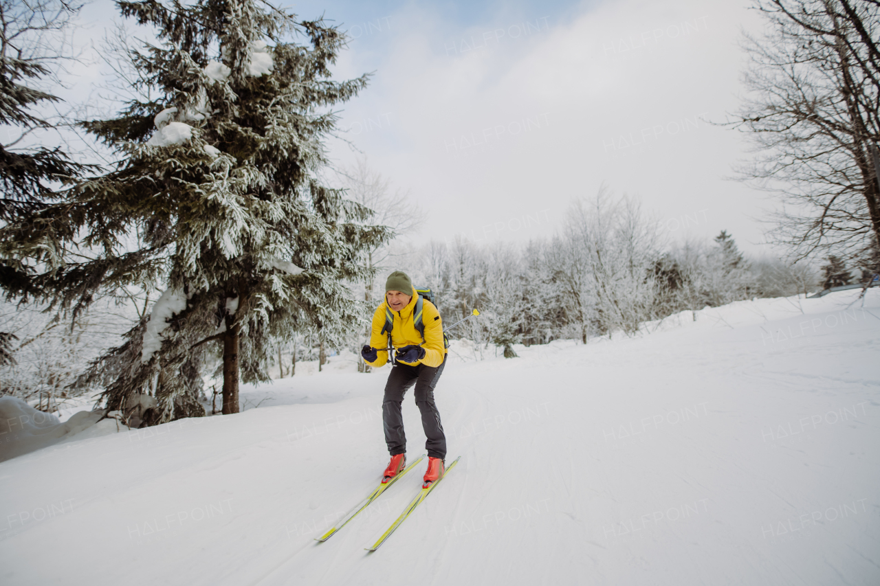 Senior man doing cross country skiing in front of a snowy forest.