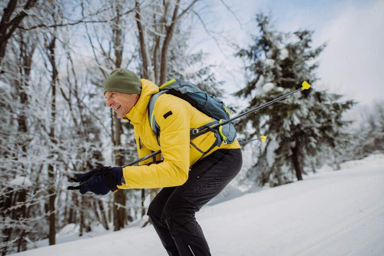 Senior man doing cross country skiing in front of a snowy forest.