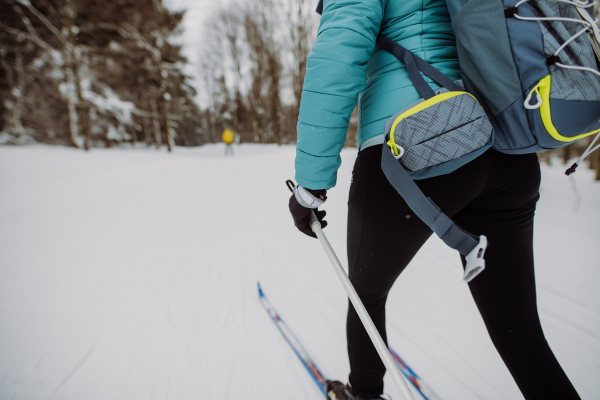 Rear view of unrecognizable cross country skier in forest.