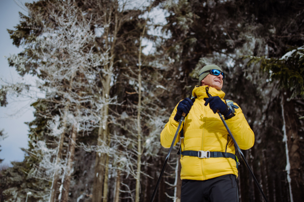 Low angle view of senior man admiring nature during cross country skiing in forest.